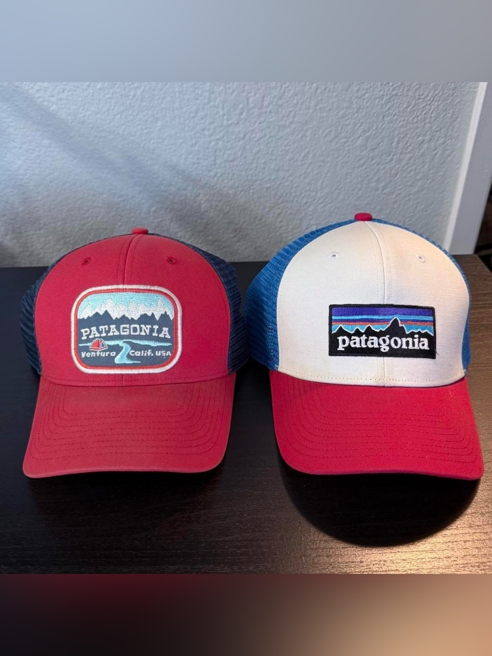 Patagonia Trucker Hats